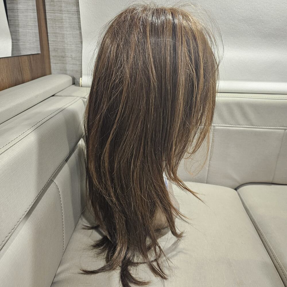 Raquel Welch Wig Brunette with Highlights Front Lace Tru2Life - Picture 3 of 14